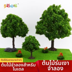 DUOCAIHANI | Cây Mô Hình DIY cho Bàn Cát và Cảnh Quan Nhỏ Banyan