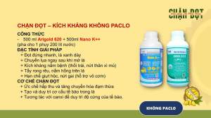 Giải pháp phân bón chặn đọt hiệu NANO K+ và ARIGOLD 620 của An Phát Nông đứng đọt nhanh vào cơm nhanh