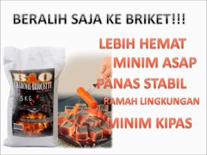Arang kelapa briket 500g sampai 1kg Q01
