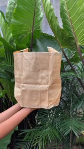 Paket Isi 5 Pcs Planter Bag 18 Liter ukuran 25x25 Pot Tanaman