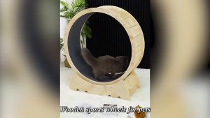 Cat Wheel Quiet Spinner Cat Exercise Running Wheels Cat Weight Loss Exercise Ferris Wheel for Small Medium Large