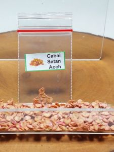 Benih Cabai Rawit Setan Aceh: Cara Budidaya & Keunggulannya