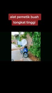 Pemetik Buah Nyaman Cepat Pemetik Buah Teleskopik Ketinggian Tinggi Gunting Buah yang Dapat Disesuaikan