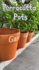 กระถางต้นไม้ดินเผา กระถางดินเผารุ่นมีขอบ ปั๊มลาย Garden แข็งแรง ทนทาน ทาเคลือบสีกันเชื้อราแล้วทุกใบ เหมาะกับปลูกต้นไม้ทุกชนิด  มี 5 ขนาดให้เลือก