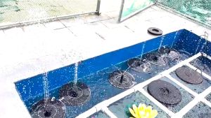 【Vận chuyển nhanh】Máy Bơm Nước Thông Minh 7V 1.5W Đài Phun Nước Năng Lượng Mặt Trời Dùng Trong Vườn Cây Nổi Đài Phun Nước Bể Bơi Vườn Bể Cá Máy tưới cây