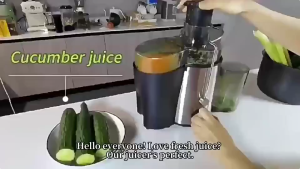 Máy ép chậmkhởi động êm điều chỉnh tốc độThích hợp cho trái cây và rau quả