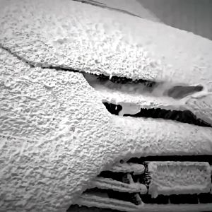 Kuas Cuci Mobil & Sikat Detailing Motor Lengkap 5PCS