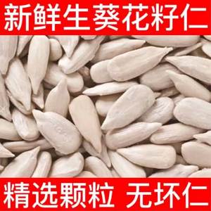 Unroasted Shelled Sunflower Seeds