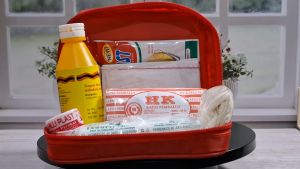 TAS DOMPET P3K TRAVELING ORGANIZER POUCH MEDICINE TEMPAT OBAT PRAKTIS