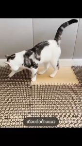 หนามไล่แมว มี 2 ขนาด ไล่นกพิราบ หนามกันแมว ที่กันแมว ยางหนามแมว ปลอดสารพิษ