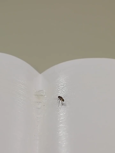 【BUY 1 TAKE 2】Fly Catcher Sticky Fly Paper Eliminate Flies Insect Bug Glue Paper Catcher Trap Fly Traps Fly Glue Board Flies Trap Catcher Bugs Insects Catcher Board For Fruit Flies Kitchen Glue Fly Trap