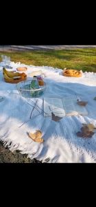 HEWOLF Durable Portable Picnic Mat with Multi-Season Wear Outdoor Waterproof Camping Blanket for All Ages