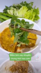 Mắm Cá Linh Xay Nhuyễn Nguyên Chất Tươi-Vựa Khô Phi Yến