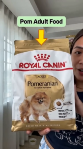 Royal Canin Pomeranian Adult 500g Dry Dog Food - Breed Health Nutrition for Adult & Mature Pomeranians Over 8 Months Old | Premium Dog Food with EPA DHA for Bone & Joint Support Healthy Skin & Glorious Coat & Support Digestive Health [EXP Oct26]