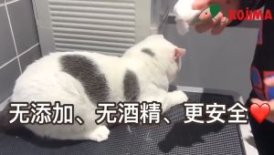 Kojima Pet Wipes Wet Tissue/Wet Wipes For Pets/80pcs