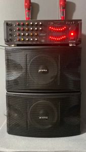 paket sound sistem karaoke 8 inch