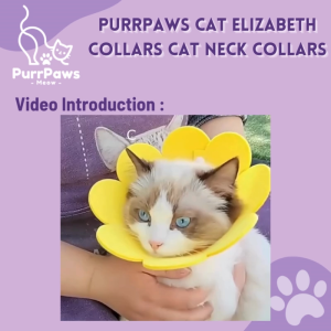 PurrPaws Cat Elizabeth Collars Cat Recovery Collars Cat Neck Collars Grooming Collars Kucing Sakit Koler Leher