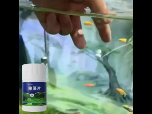🐟No Algae Will Relive🐠Algaecide for Aquarium 150tablets Algae Remover for Fish Pond