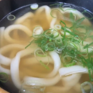 [Expiry Date: 2026.07.13][Nongshim] Saengsaeng Udon 253g / 농심 생생우동 253g