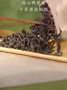 Duck Dung Fragrance Phoenix Single Grove Oolong Tea Special Grade Ice Lemon Tea Dedicated Snowflake