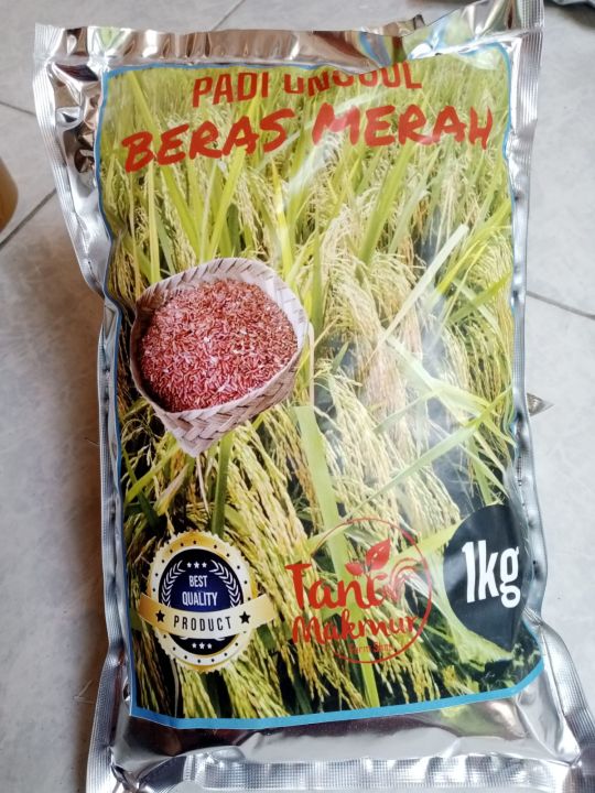 Benih Padi Beras Merah Kemasan 1 Kg Lazada Indonesia