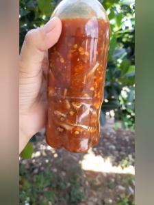 Combo 3 Chai Mắm Nêm Cá Cơm Nha Trang  Mắm cái cá cơm Đặc Sản Nha Trang