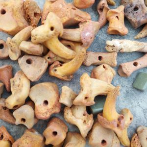 Black Tooth Claw Bone Necklace Full Set Skeleton Practice Assembly Jewelry Pearl Shell Constellation Zodiac World Style Couple