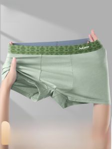 MiiOW | Quần lót nam Catman Cotton nguyên chất Quần lót nam Quần lót nam cạp vừa mùa thu 2024 Quần lót nam kháng khuẩn mềm mại thoáng khí cỡ lớn