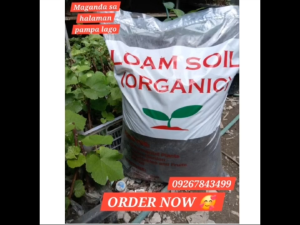 Loam soil ORGANIC 9-10 KILOS MAGANDA SA HALAMAN PAMPA LAGO ORDER now
