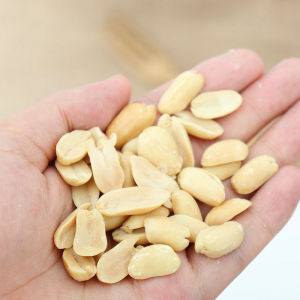 Delicious Baked Peanuts Snack Crispy Peanuts Roasted Nuts for Drinks Sake Dishes Non-Stick Packaged from Shandong Province