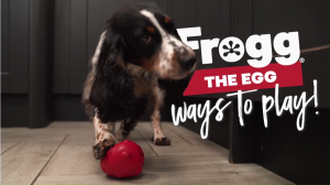 FROGG "EGG" Natural Rubber Dog Toy