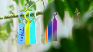 ป้ายแขวนต้นไม้ แบบแขวน แผ่นหนา  กันน้ำ ป้ายชื่อพลาสติก ตกแต่งสวน ขนาด: 11 x 2.4 ซม. / 4.33 x 0.94 นิ้ว (100ชิ้น)