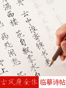 Calligraphy Practice Set Slim Golden Script Brush Font Soft Pen Tracing Paper Small Regular Script Exercise Paper Study Material