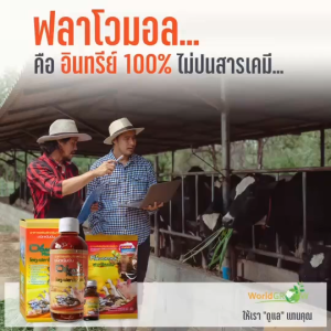 อาหารเสริมสัตว์อินทรีย์ ฟลาโวมอล ขนาด 250 ซีซี