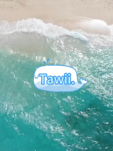 Tawii. Slipper for Men Non-slip Removable Insole Beach Slippers 5cm Thick Sole Clogs Soft Breathable