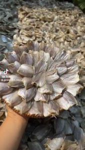 Khô Cá Sặc Bướm (Sặc đồng nhỏ) – Đặc sản Cà Mau VỰA KHÔ MINH TRIẾT