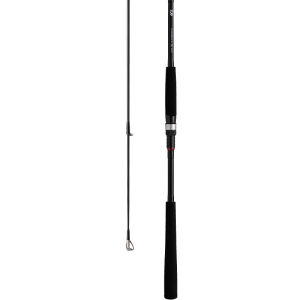 Daiwa | Sea Fishing Long Casting Lure Rod