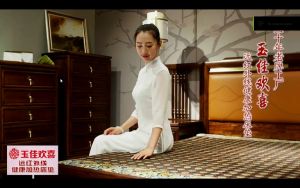 HOT BED Jade mattress tourmaline stone health heating physiotherap pad