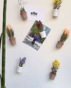 SLYCELAB Flower Fridge/ Ref Magnets 3D Printed Ref Decor Plant Magnets