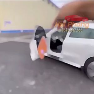 Lá thơm khô chữ R treo xe ôtô - cây thơm theo tủ quần áo khử mùi