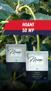 Mahakam Miami 50 WP 100 gram - Insektisida Pestisida Pembasmi Hama Penyakit Tanaman Tomat