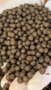 Hộp 500g viên cà gai leo mật ong rừng Trung Huy foods hộp 500g viên cà gai leo trà cà gai leo mát gan