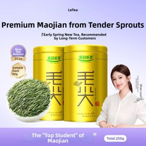 LEPINLECHA | Premium Spring Green Tea Gift Box 250g