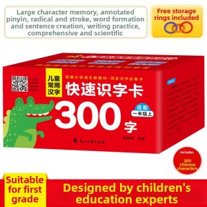 Pinyin Learning Cards 504 Pages