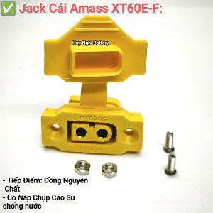 Jack Cái Amass XT60E-F: Cố Định Có Nắp Che Tiếp Điểm Đồng Nguyên Chất