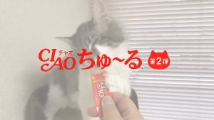 Ciao Churu Cat Treats (14g x 4 pcs per pack)