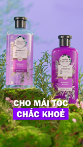 Combo 2 Dầu Gội - Dầu Xả HERBAL ESSENCES Tinh Chất Thực Vật Thật Argan Morroco/ Dâu Trắng Bạc Hà/ Hương Thảo & Thảo Mộc - Chai 400ML