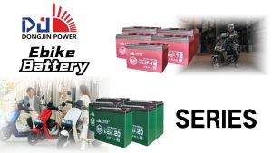 DongJin Power Ebike Battery 48V25AH Compatible with 48V20AH Deep Cycle Lead Acid