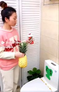H21 Pembersih penyegar kloset toilet automatic Cleaner pembersih wc duduk
