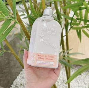 250ml French Authentic LOtane Sakura Body Lotion and wash Moisturizing Moisturizing Non-Greasy Long-Lasting Fragrance Care